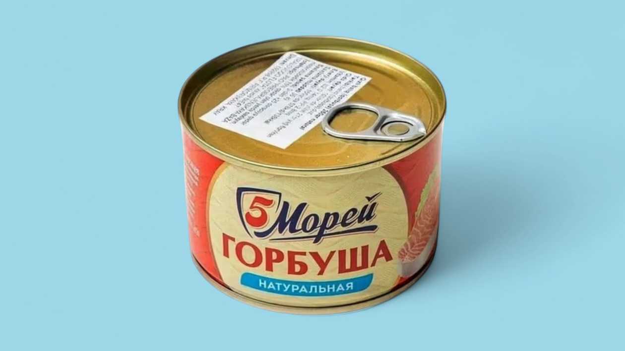 5 Morey Garfish Canned Fish Natural 250g