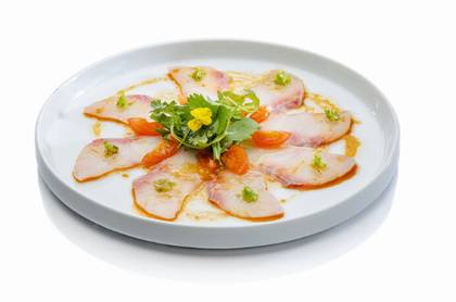 Carpaccio Lirio