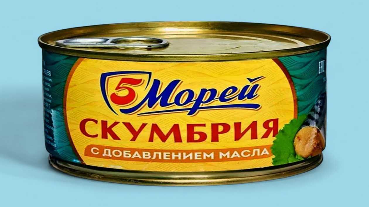 5 Morey Mackerel Fish Preserves in Oil 250g