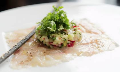 Carpaccio Robalo