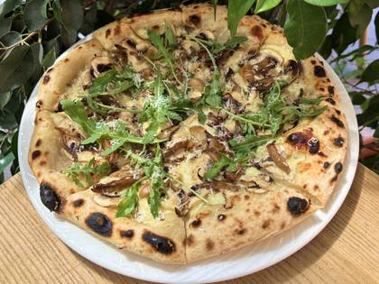 Mushroom pizza with truffle paste