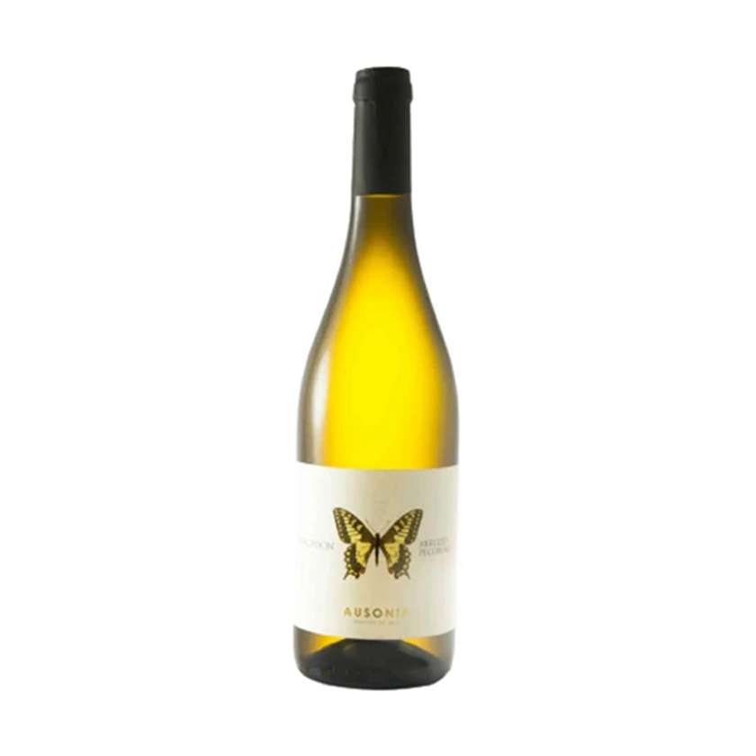 Machaon Pecorino DOP 2021