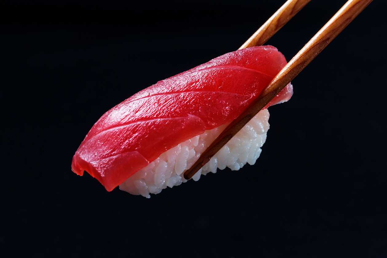 Maguro