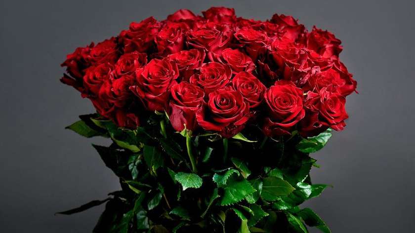 Red Roses 50-60 cm