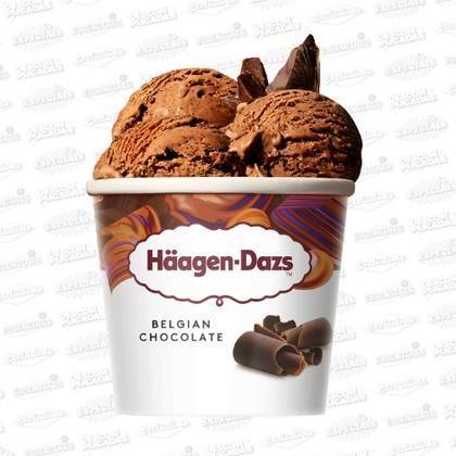 Haagen Dazs Belgian Chocolate Ice Cream