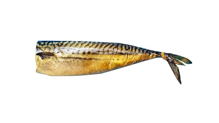 Cold Smoked Mackerel (1 piece)