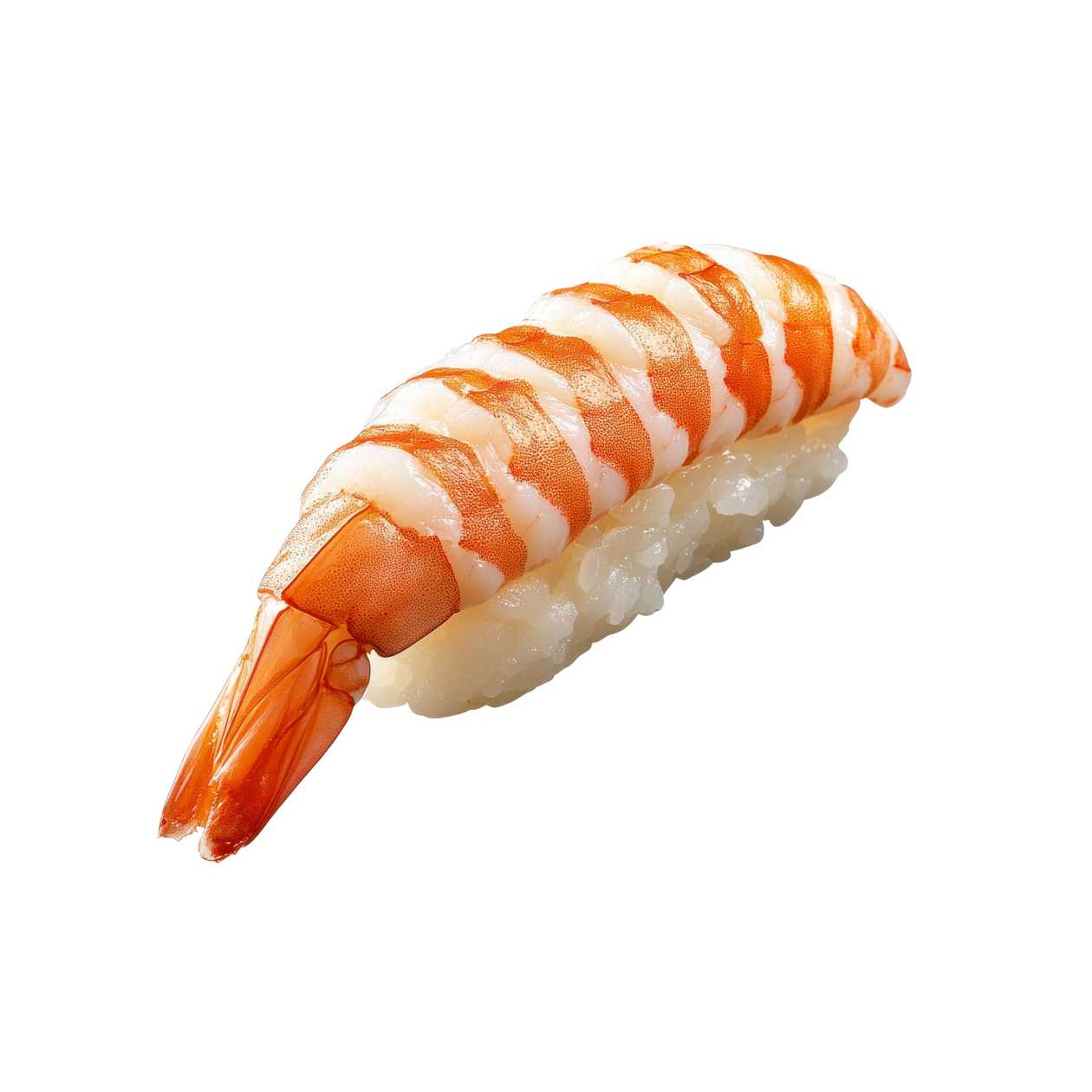 Ebi prawn