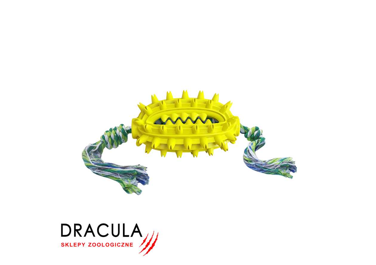 #120 ZABAWKA DLA PSA cactus shaped dog toothbrush ze sznurkiem