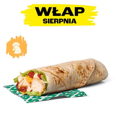 CHORIZARD WŁAP