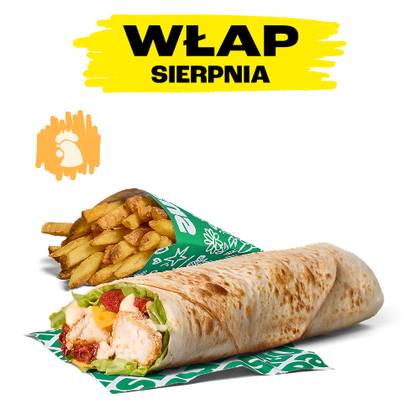 CHORIZARD WŁAP ZESTAW