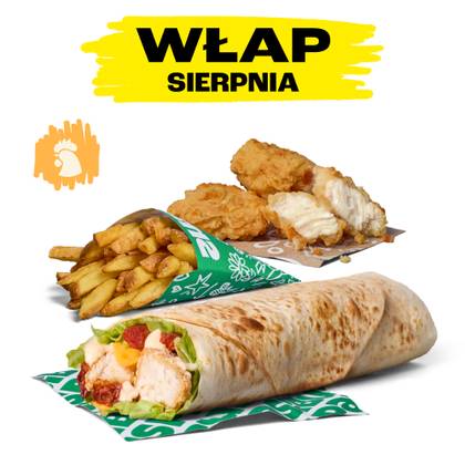 CHORIZARD WŁAP ZESTAW POWIĘKSZONY