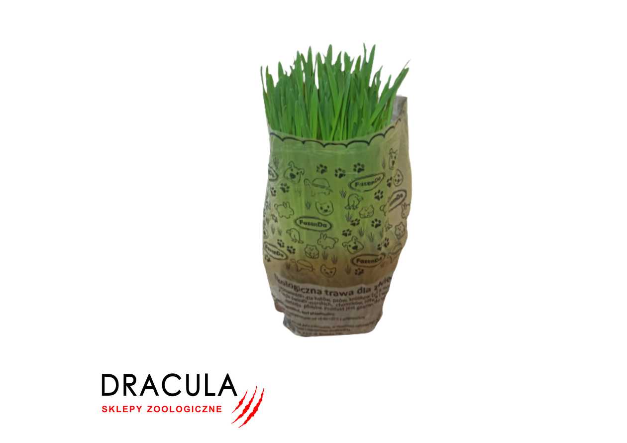 Organic Oat Grass for Cats