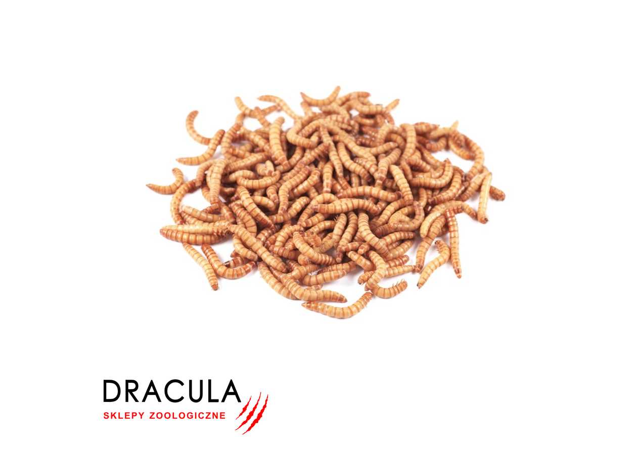 Mealworm 50ml