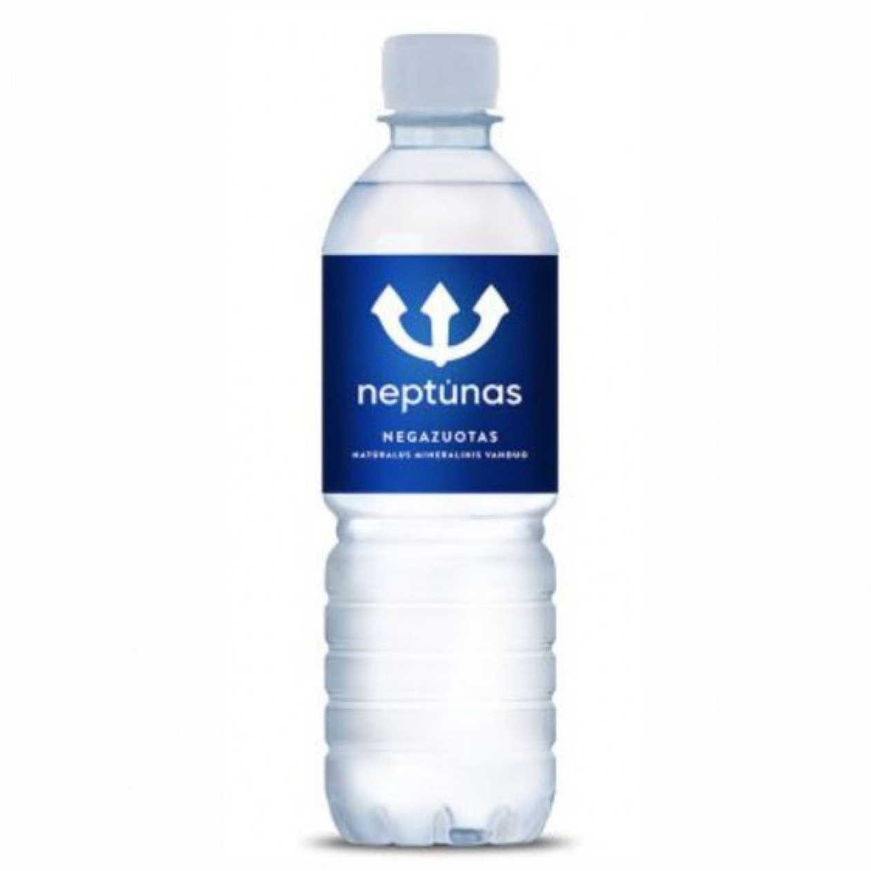 Neptūnas negazuotas 0,5 l