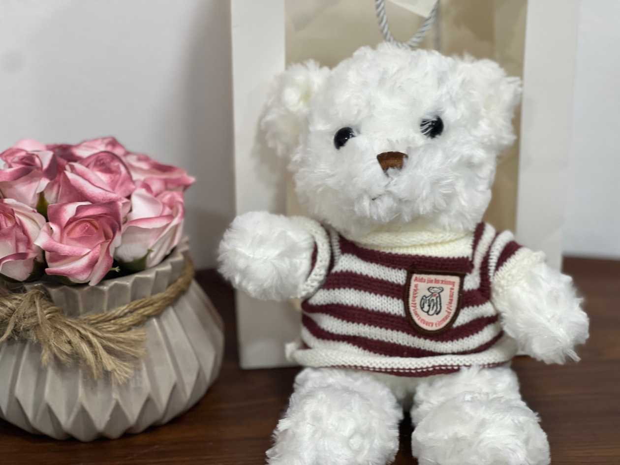 Teddy Striped T-shirt