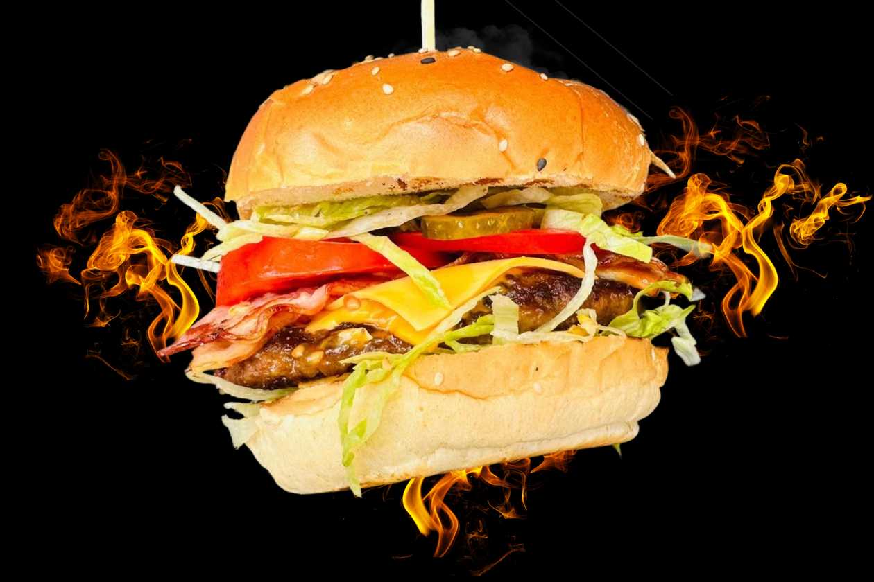 Beef burger 120g