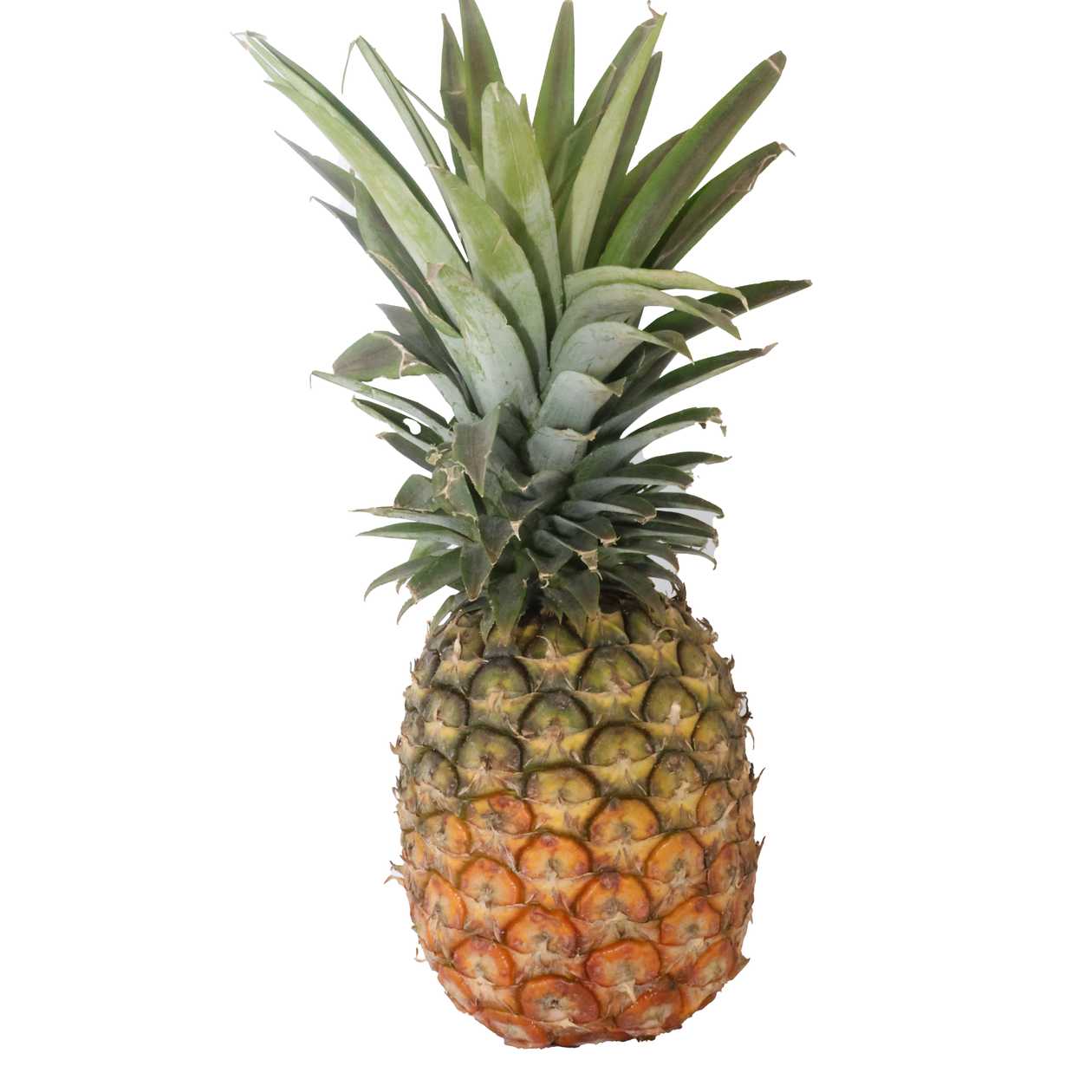 JAR LOCAL PINEAPPLE PER KG