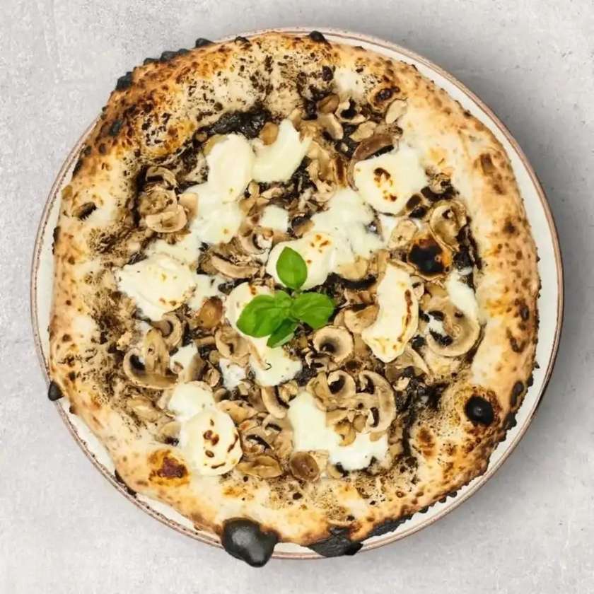 8. TARTUFO