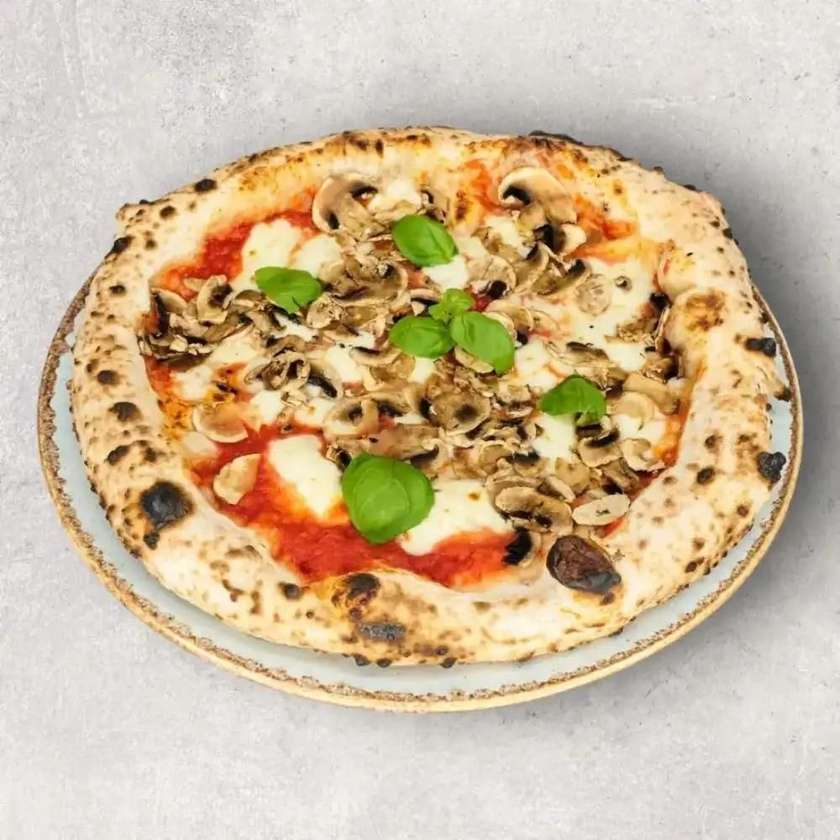 3. FUNGHI