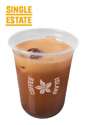 Freddo Espesso Double Single Estate Large 16oz