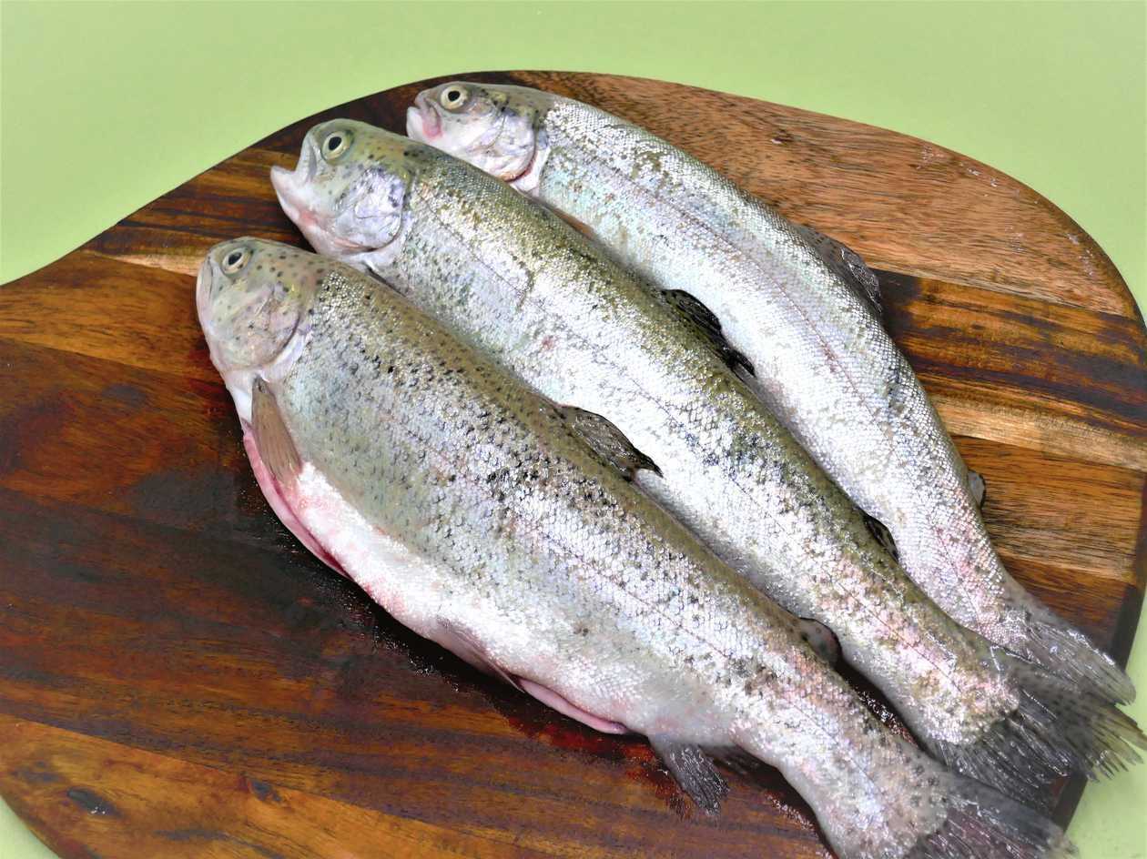 კალმახი