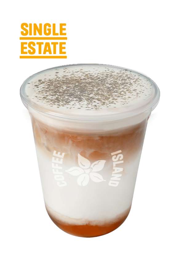 Iced Latte Mocha Single Estate Large 16oz