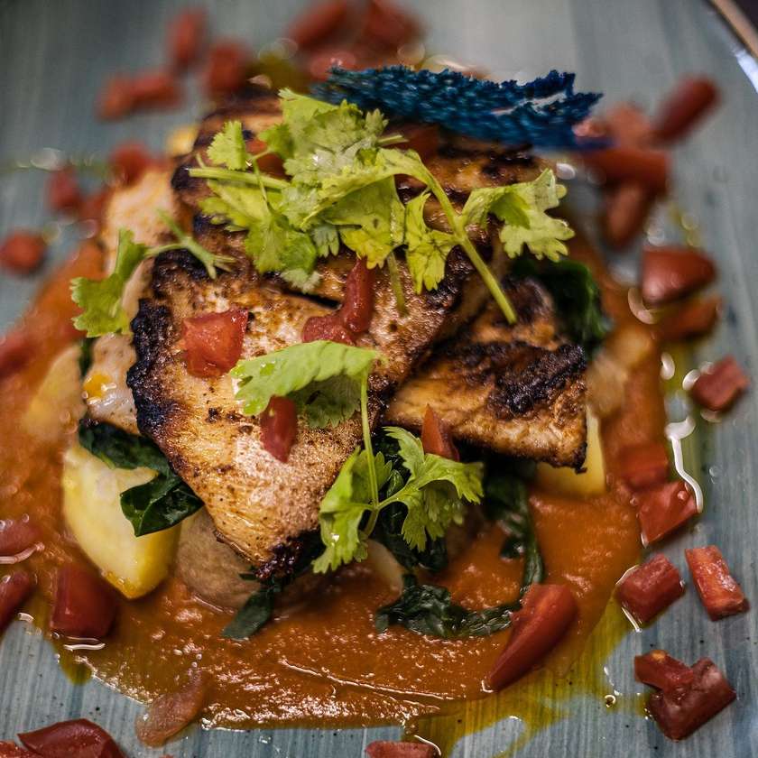 Pan Fried Grouper Fillet