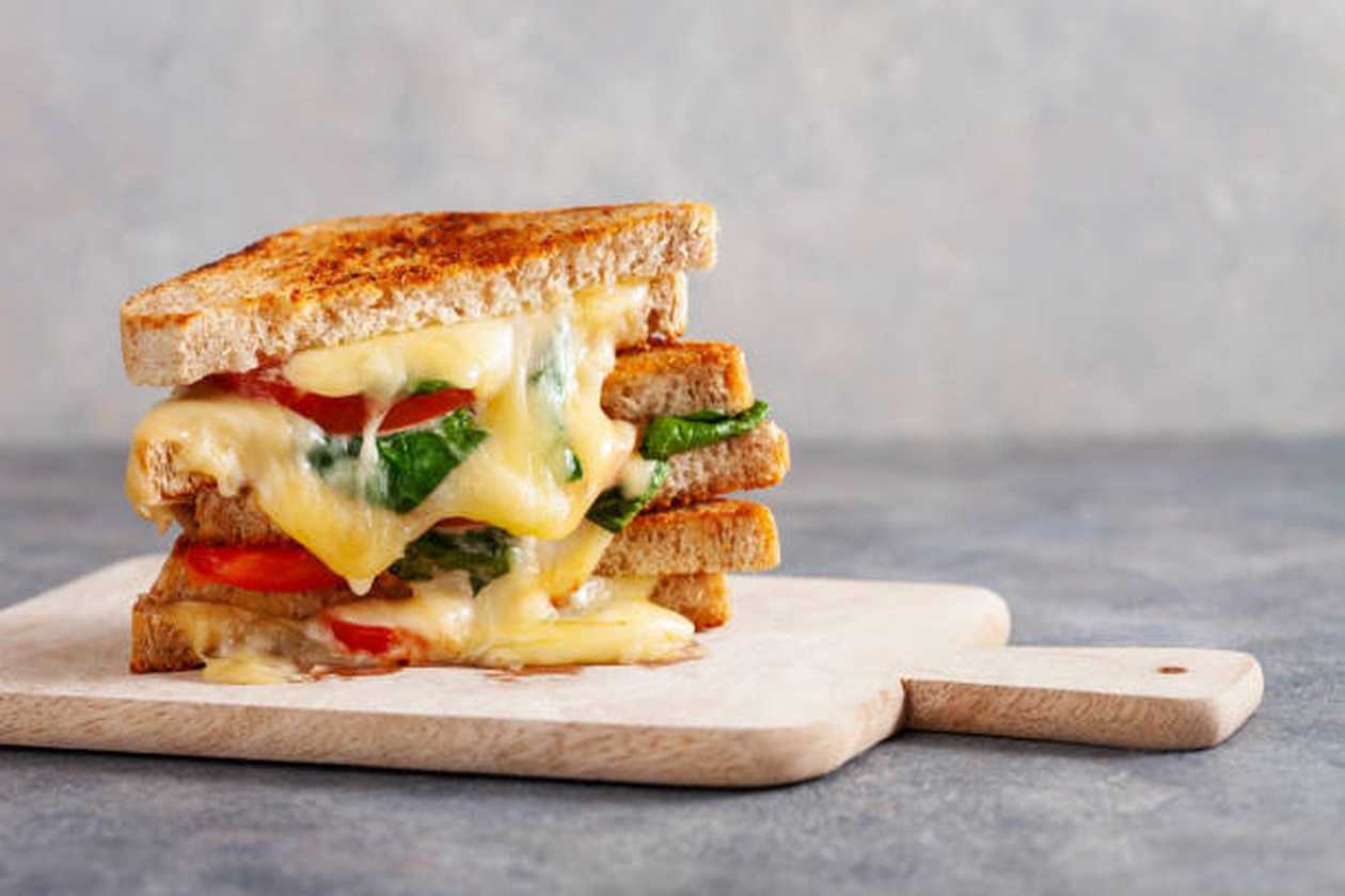 Toasted Chicken And Cheddar Cheese Sandwich