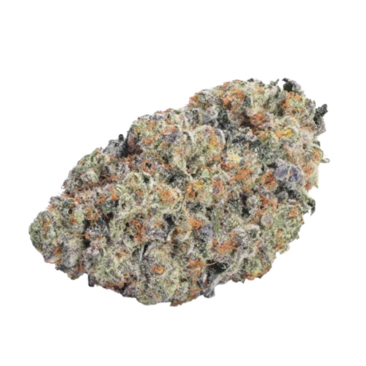 DOUBLE DONNY BURGER (FEM), X 4 SEEDS
