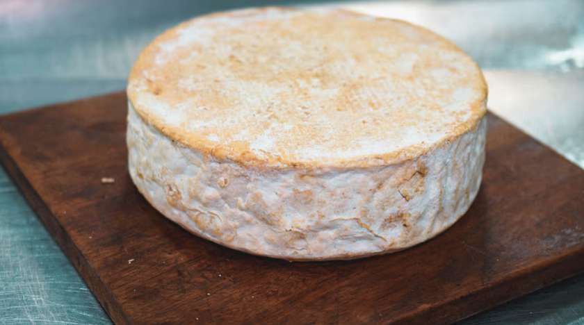 IL-FRANGISKAN CHEESE