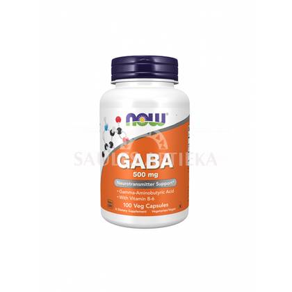 NOW® GABA 500mg, N100