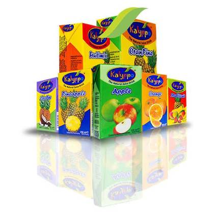 Kalyppo Drink 250ml X1