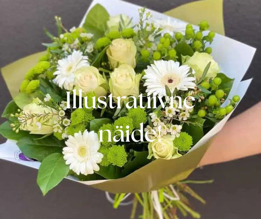 Kimp valgetes toonides