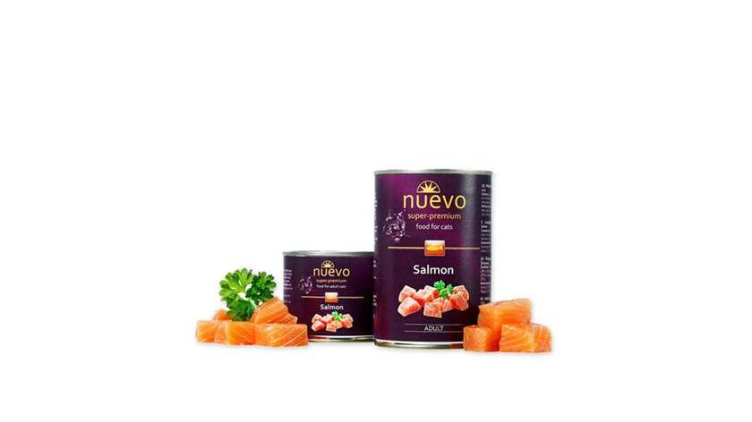 Canned Nuevo Salmon Adult 400g