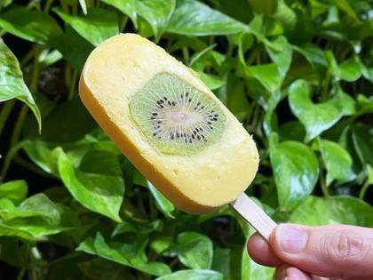 Тропічне RAW & VEGAN морозиво на паличці