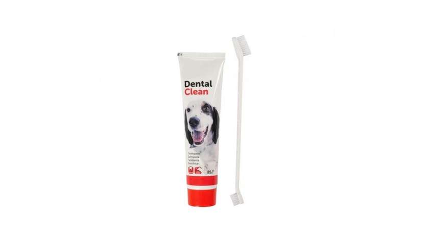 Flamingo Toothpaste and Toothbrush for Dogs