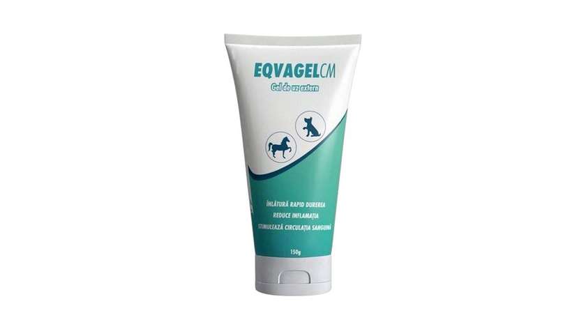 Eqvagel