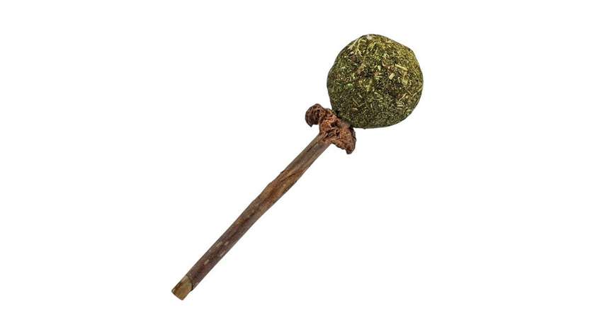 Cat Lollipop Toy