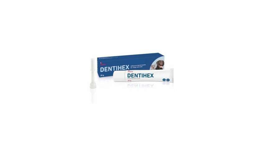 Dentihex Adhesive Toothpaste with Chlorhexidine for Dogs and Cats