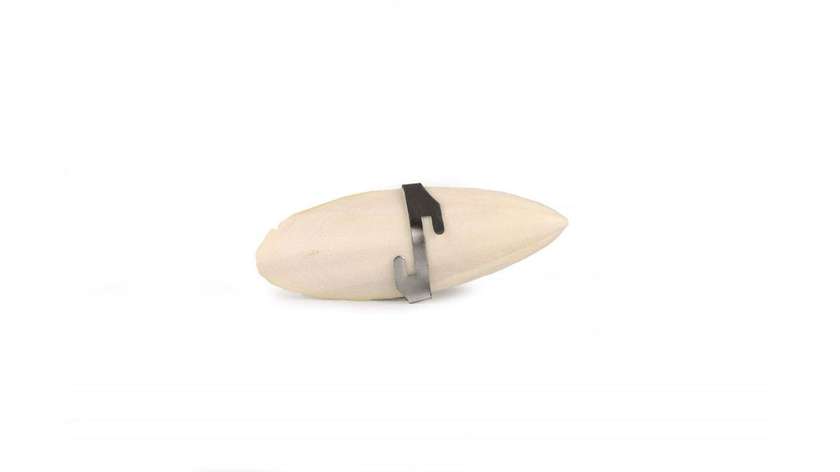 Cuttlefish Bone