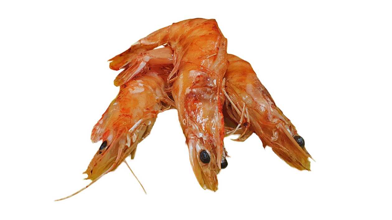Kreveta celá 20/30