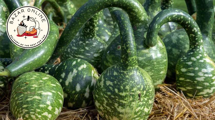 Balqabaq Qu Quşu - 1 əd. 2\2.5kg