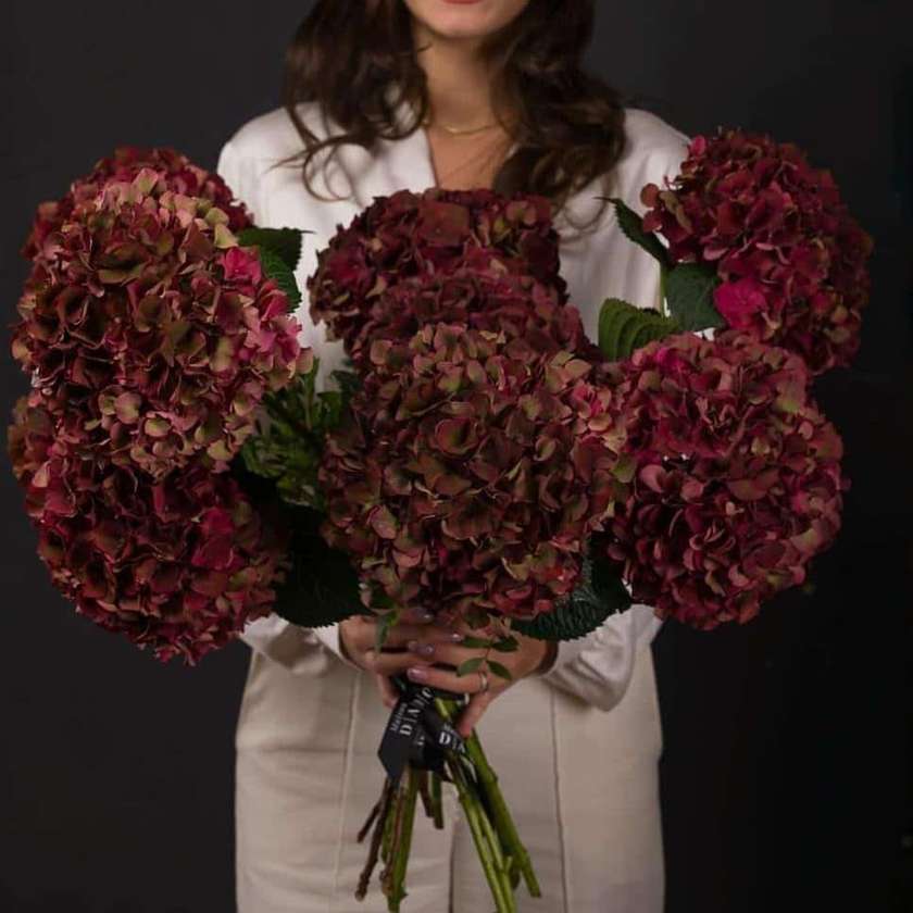 Claret Hydrangea Bouquet