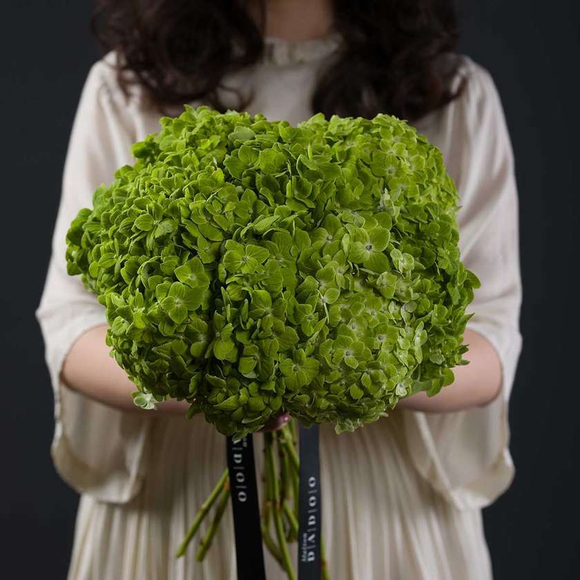 Green Hydrangea Bouquet