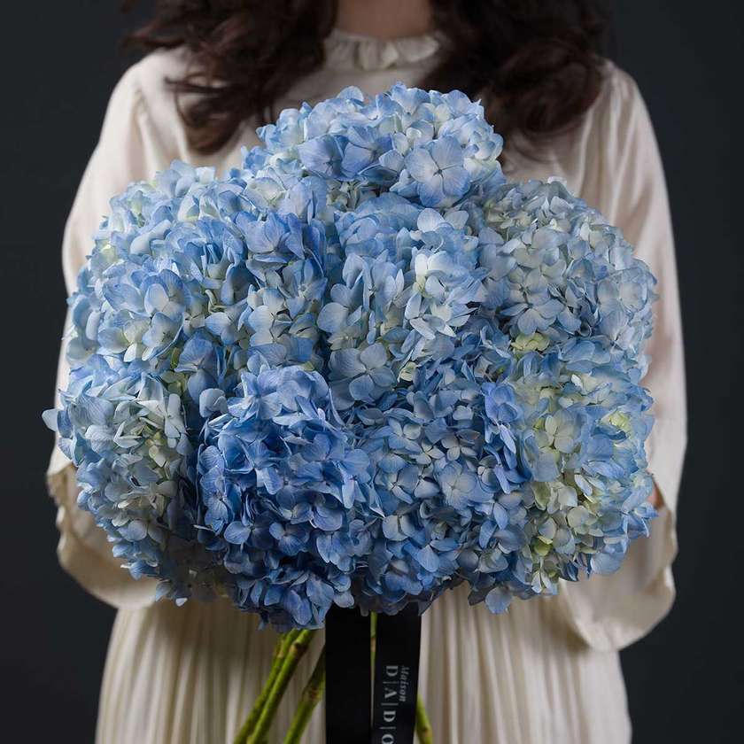 Blue Hydrangea Bouquet