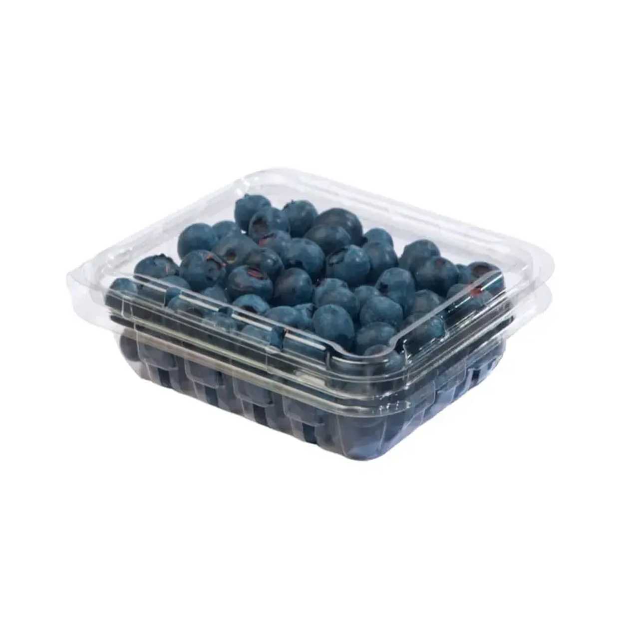 Šilauogės indelyje, 125g (baigiasi galiojimas)