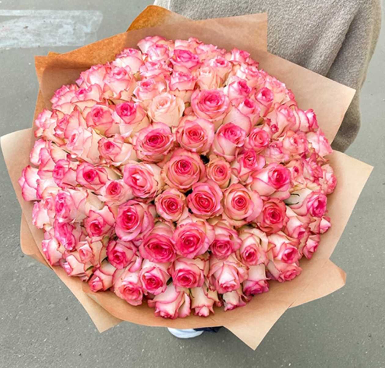 101 gb. 40 cm Jumilia XL rozes