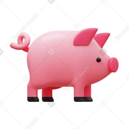 Pork Meat