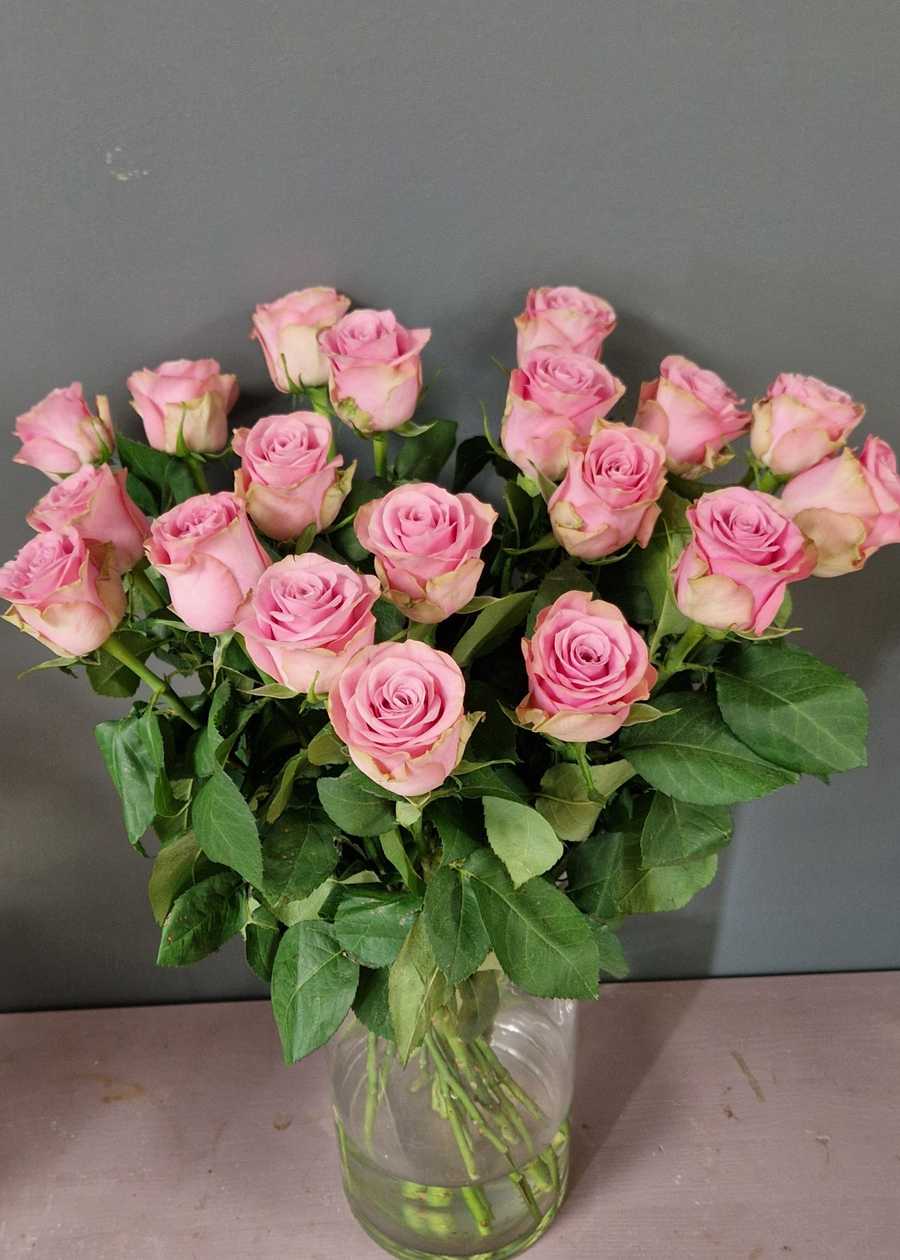 Pink Roses
