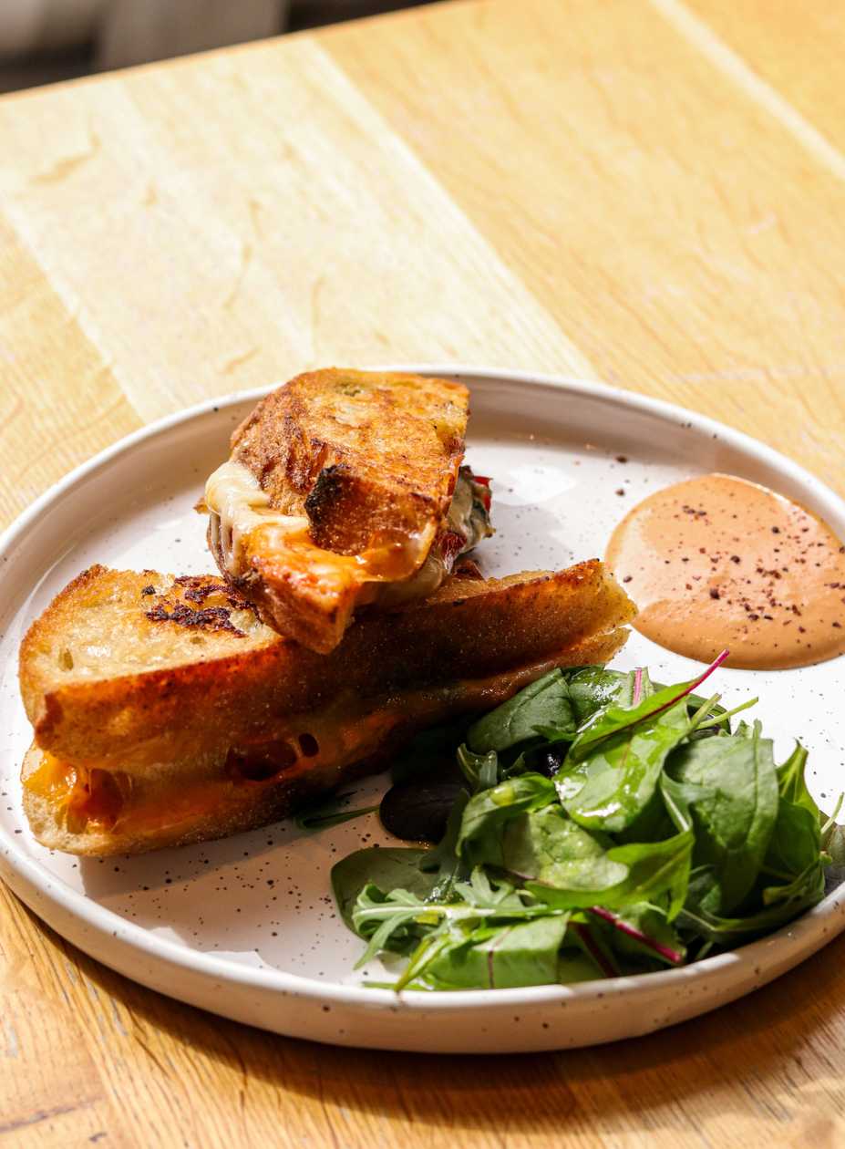 Cheesy Sandwich with Salad